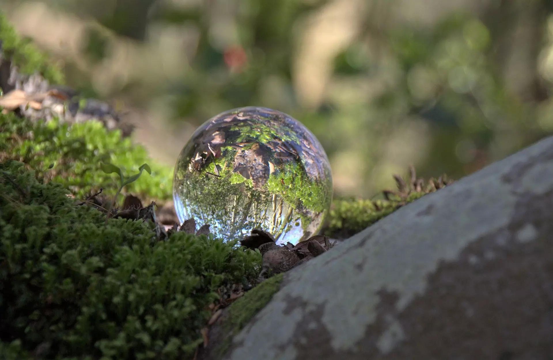 CÓDIGO DE CONDUCTA(2)